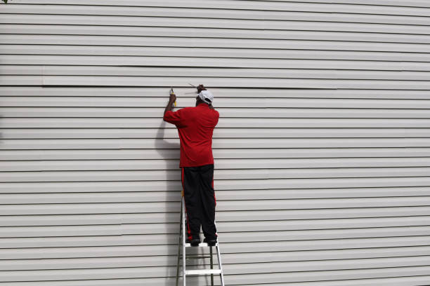 Best Siding Replacement  in Ravenna, OH